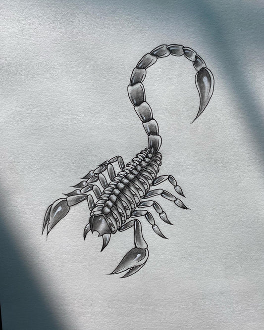 Scorpion Skeleton Tattoo Flash